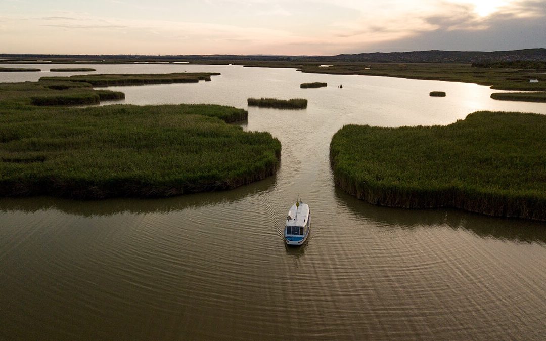 Az ugródeszka szélén: Velencei-tavi borok