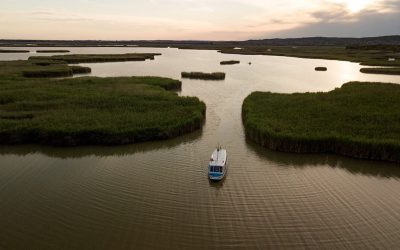 Az ugródeszka szélén: Velencei-tavi borok