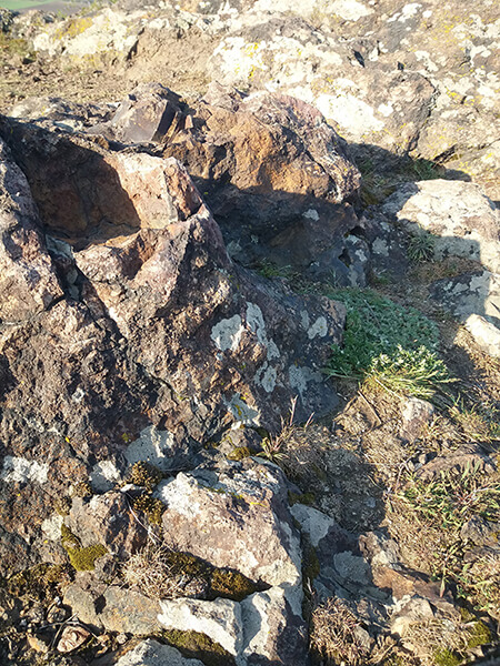 Pázmánd Zsidókőhegy Szikla