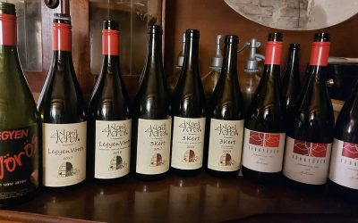 Vörös küvék (r)evolúciója- avagy az individualizmustól a közösségi lét felé…