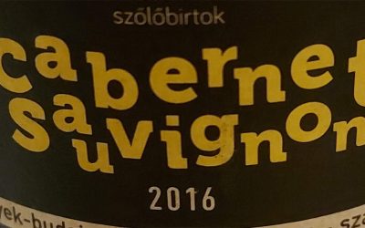 Egyszer egy életben…Nagy Gábor Családi Szőlőbirtok retrospektív