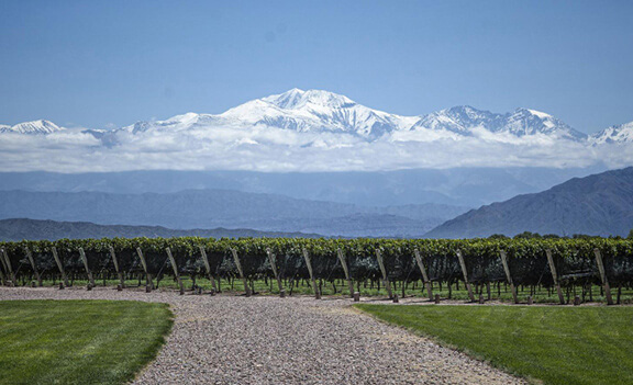 Kalandozás Svájc borvidékein