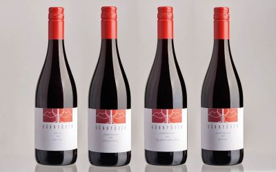 Borászdiverzitás-Könnyűvér 2.0